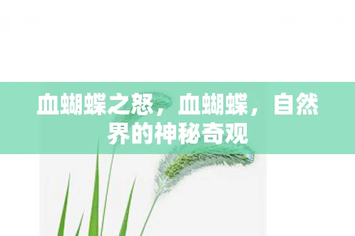 血蝴蝶之怒，血蝴蝶，自然界的神秘奇观