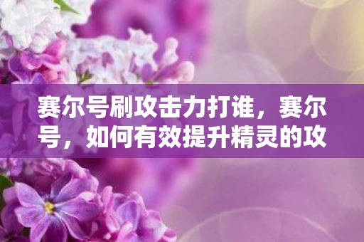 赛尔号刷攻击力打谁,赛尔号,如何有效提升精灵的攻击能力 赛尔号刷攻击力打谁,赛尔号,如何有效提升精灵的攻击能力
