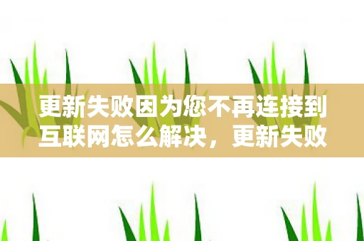 更新失败因为您不再连接到互联网怎么解决，更新失败，数字时代的挑战与机遇