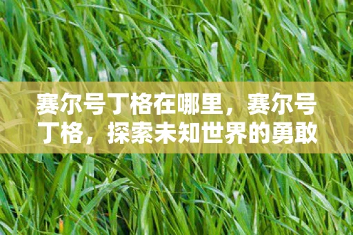 赛尔号丁格在哪里，赛尔号丁格，探索未知世界的勇敢精灵