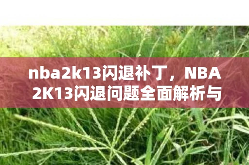 nba2k13闪退补丁,NBA 2K13闪退问题全面解析与解决方案 nba2k13闪退补丁,NBA 2K13闪退问题全面解析与解决方案