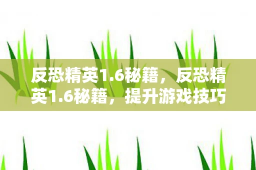 反恐精英1.6秘籍,反恐精英1.6秘籍,提升游戏技巧与策略的全面指南 反恐精英1.6秘籍,反恐精英1.6秘籍,提升游戏技巧与策略的全面指南