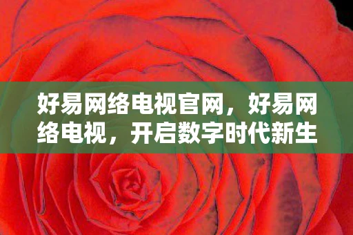 好易网络电视官网,好易网络电视,开启数字时代新生活的钥匙 好易网络电视官网,好易网络电视,开启数字时代新生活的钥匙
