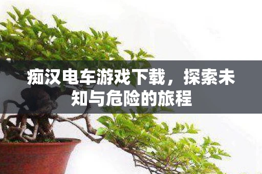 痴汉电车游戏下载，探索未知与危险的旅程