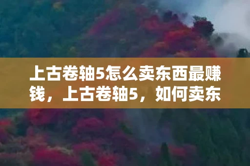上古卷轴5怎么卖东西最赚钱，上古卷轴5，如何卖东西？