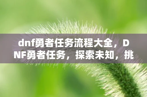 dnf勇者任务流程大全，DNF勇者任务，探索未知，挑战极限