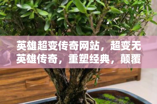 英雄超变传奇网站，超变无英雄传奇，重塑经典，颠覆传统