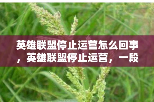 英雄联盟停止运营怎么回事，英雄联盟停止运营，一段传奇的终结