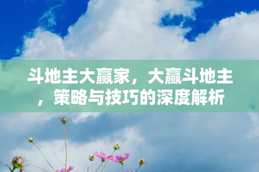 斗地主大赢家，大赢斗地主，策略与技巧的深度解析
