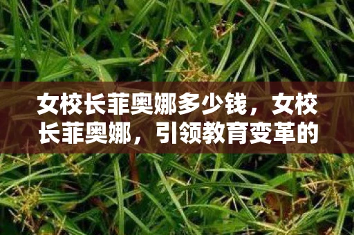 女校长菲奥娜多少钱,女校长菲奥娜,引领教育变革的先锋 女校长菲奥娜多少钱,女校长菲奥娜,引领教育变革的先锋