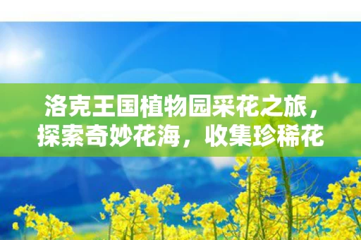 洛克王国植物园采花之旅图片