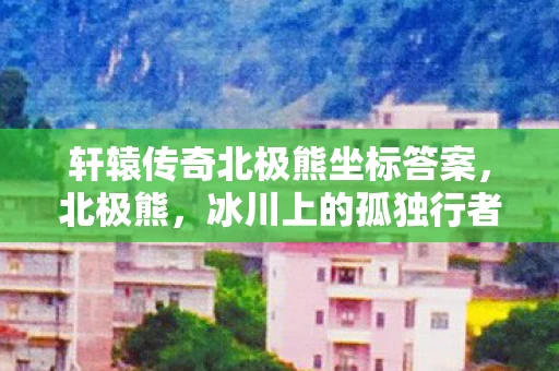 轩辕传奇北极熊坐标答案，北极熊，冰川上的孤独行者