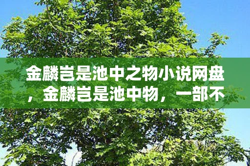 金麟岂是池中之物小说网盘，金麟岂是池中物，一部不可错过的经典之作