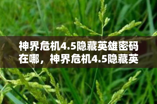 神界危机4.5隐藏英雄密码在哪,神界危机4.5隐藏英雄密码揭秘 神界危机4.5隐藏英雄密码在哪,神界危机4.5隐藏英雄密码揭秘