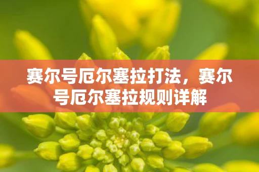 赛尔号厄尔塞拉打法,赛尔号厄尔塞拉规则详解 赛尔号厄尔塞拉打法,赛尔号厄尔塞拉规则详解