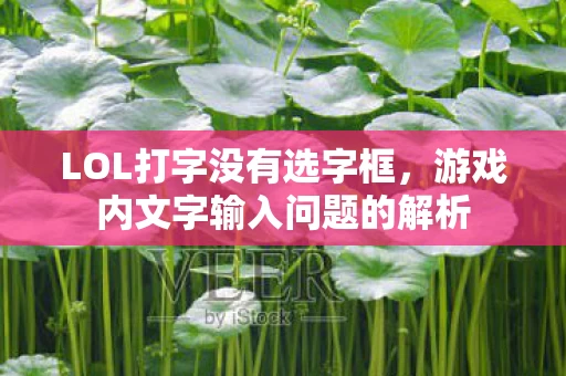 游戏内文字输入问题的解析图片
