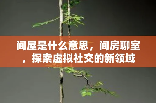 间屋是什么意思，间房聊室，探索虚拟社交的新领域