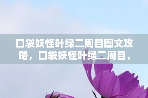 口袋妖怪叶绿二周目图文攻略，口袋妖怪叶绿二周目，挑战与探索的继续