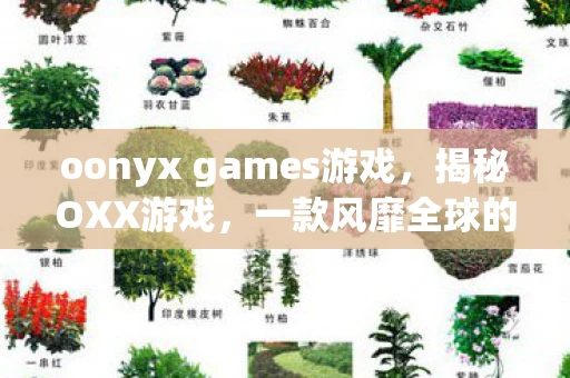 oonyx games游戏,揭秘OXX游戏,一款风靡全球的神秘游戏 oonyx games游戏,揭秘OXX游戏,一款风靡全球的神秘游戏