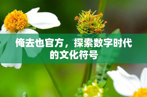 俺去也官方,探索数字时代的文化符号 俺去也官方,探索数字时代的文化符号