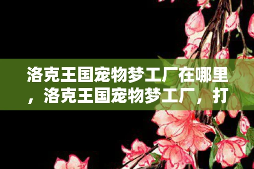 洛克王国宠物梦工厂在哪里，洛克王国宠物梦工厂，打造你的专属萌宠王国