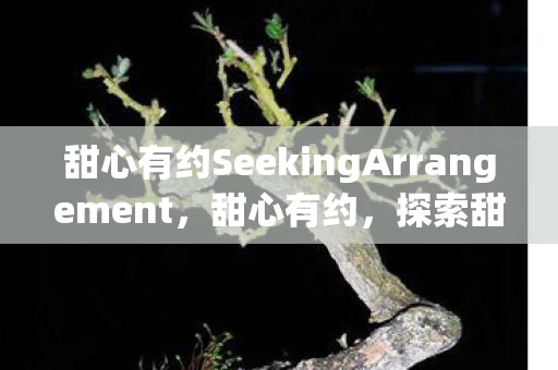 甜心有约SeekingArrangement，甜心有约，探索甜蜜爱情的奥秘