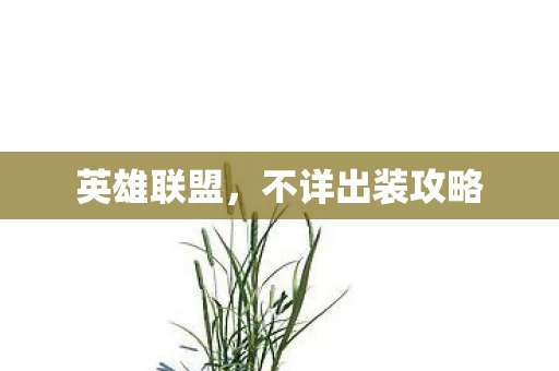 不详出装攻略图片