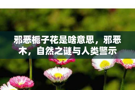 邪恶栀子花是啥意思，邪恶木，自然之谜与人类警示