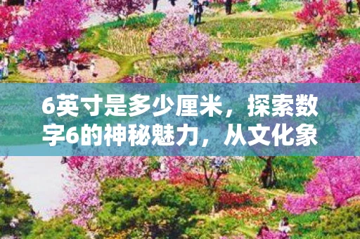 6英寸是多少厘米，探索数字6的神秘魅力，从文化象征到科学奥秘