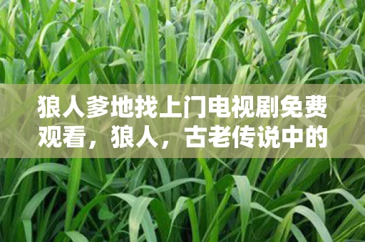 狼人爹地找上门电视剧免费观看,狼人,古老传说中的神秘生物 狼人爹地找上门电视剧免费观看,狼人,古老传说中的神秘生物