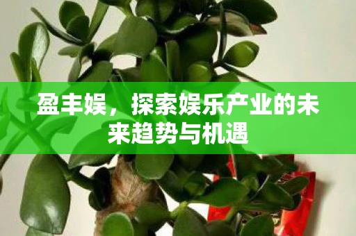 盈丰娱,探索娱乐产业的未来趋势与机遇 盈丰娱,探索娱乐产业的未来趋势与机遇