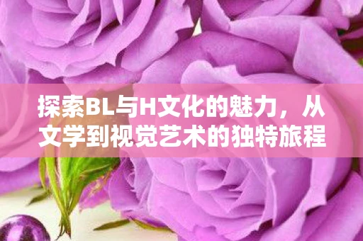 探索BL与H文化的魅力,从文学到视觉艺术的独特旅程 探索BL与H文化的魅力,从文学到视觉艺术的独特旅程