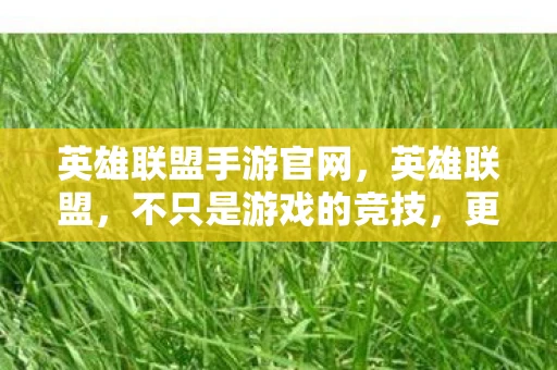 英雄联盟手游官网，英雄联盟，不只是游戏的竞技，更是情感的共鸣