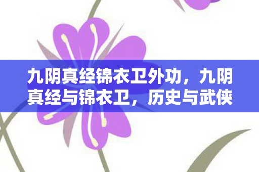 九阴真经锦衣卫外功,九阴真经与锦衣卫,历史与武侠的交汇 九阴真经锦衣卫外功,九阴真经与锦衣卫,历史与武侠的交汇