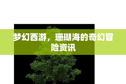 珊瑚海的奇幻冒险资讯图片