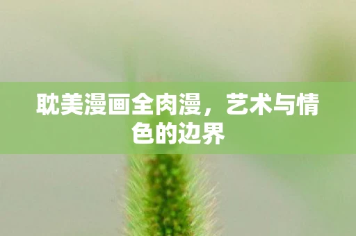 耽美漫画全肉漫，艺术与情色的边界