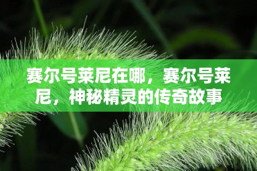 赛尔号莱尼在哪，赛尔号莱尼，神秘精灵的传奇故事