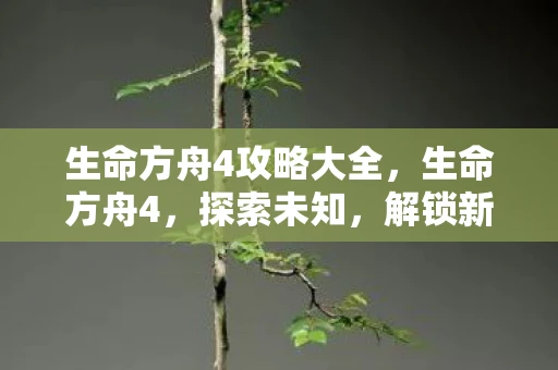 生命方舟4攻略大全，生命方舟4，探索未知，解锁新世界的奥秘