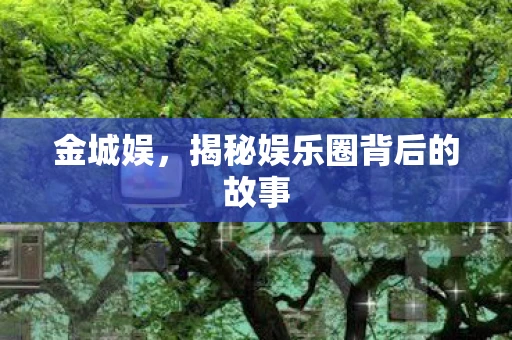 金城娱，揭秘娱乐圈背后的故事