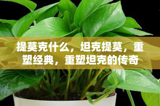 提莫克什么,坦克提莫,重塑经典,重塑坦克的传奇 提莫克什么,坦克提莫,重塑经典,重塑坦克的传奇