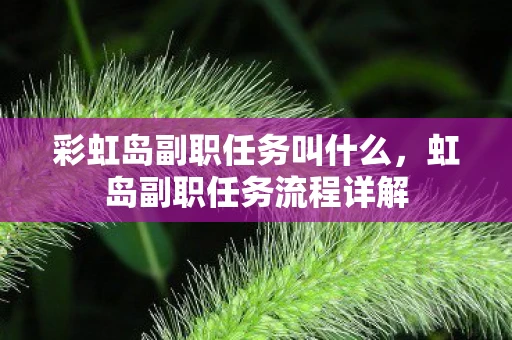彩虹岛副职任务叫什么，虹岛副职任务流程详解