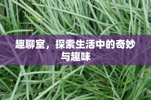 趣聊室，探索生活中的奇妙与趣味