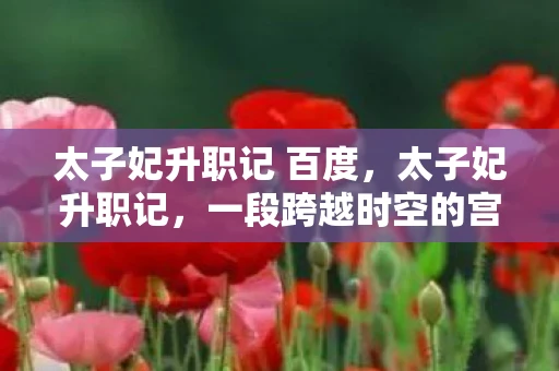 太子妃升职记 百度，太子妃升职记，一段跨越时空的宫廷传奇