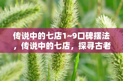 传说中的七店1~9口碑摆法,传说中的七店,探寻古老传说中的神秘商铺 传说中的七店1~9口碑摆法,传说中的七店,探寻古老传说中的神秘商铺