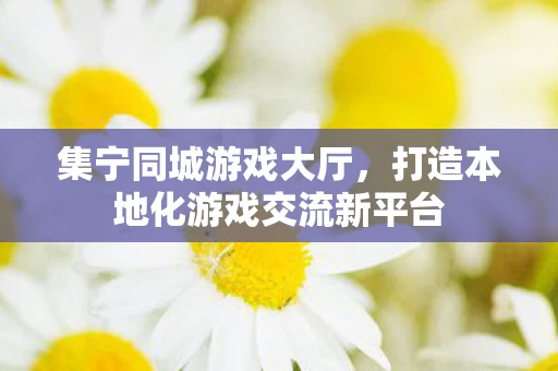 打造本地化游戏交流新平台图片