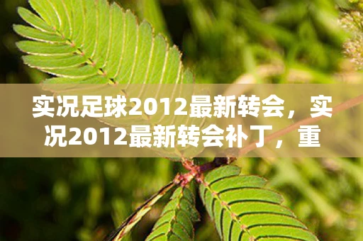 实况足球2012最新转会，实况2012最新转会补丁，重塑绿茵场，再燃激情