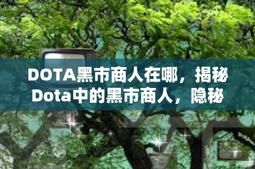 DOTA黑市商人在哪，揭秘Dota中的黑市商人，隐秘的地下交易与灰色经济
