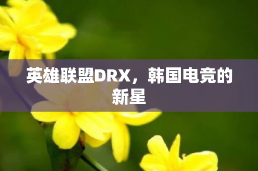 英雄联盟DRX图片