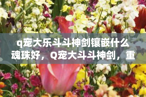 q宠大乐斗斗神剑镶嵌什么魂珠好，Q宠大斗斗神剑，重温经典，唤醒你的童年回忆