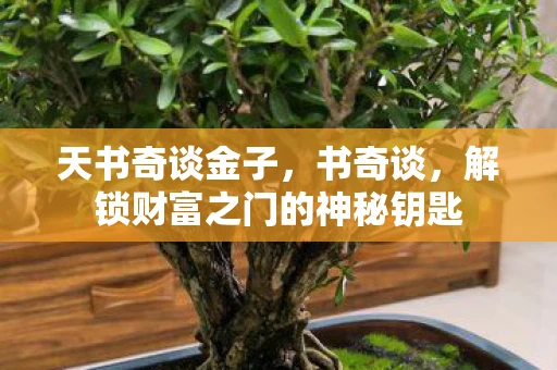 天书奇谈金子,书奇谈,解锁财富之门的神秘钥匙 天书奇谈金子,书奇谈,解锁财富之门的神秘钥匙